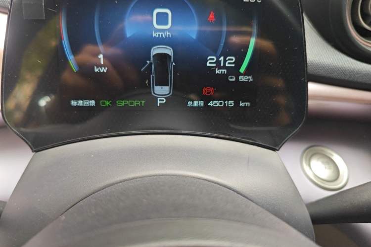 Used BYD Dolphin 2021 405 km Fashion Edition Odometer Close Up