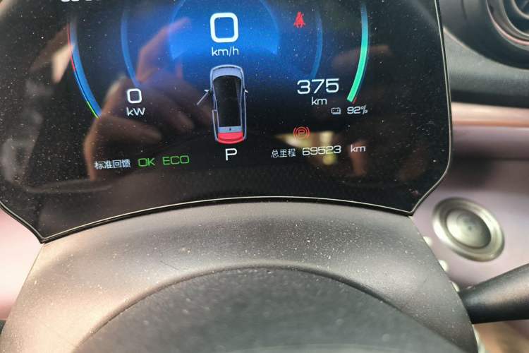 Used BYD Dolphin 2021 405 km Fashion Edition Odometer Close Up