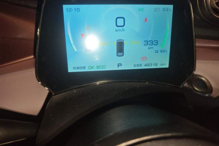 Used BYD Dolphin 2021 401km Knight Edition Odometer Close Up