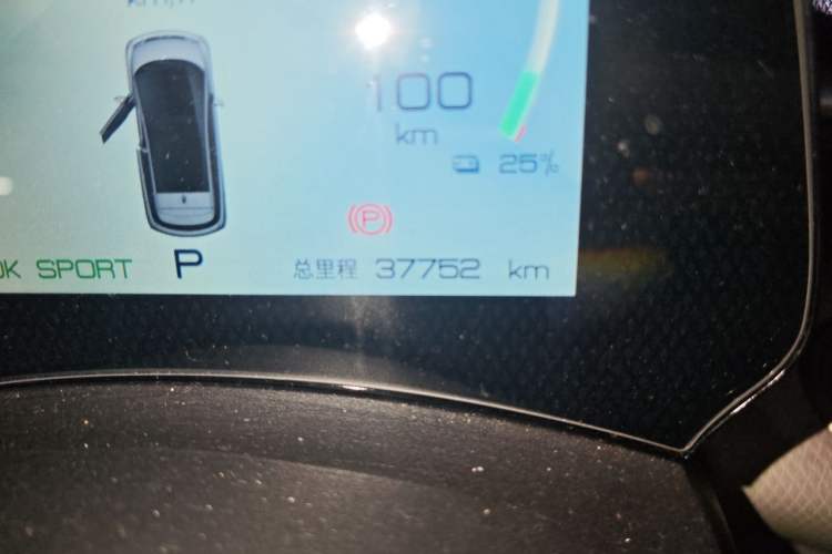 Used BYD Dolphin 2021 405 km Free Version Odometer Close Up