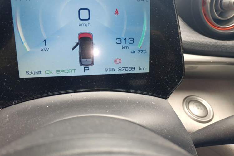 Used BYD Dolphin 2021 405 km Free Version Odometer Close Up