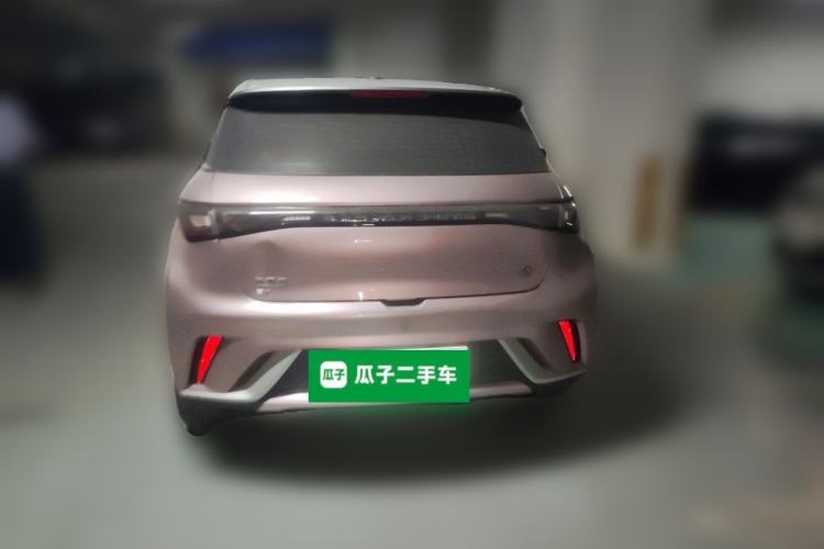 Used BYD Dolphin 2021 405 km Fashion Edition Rear