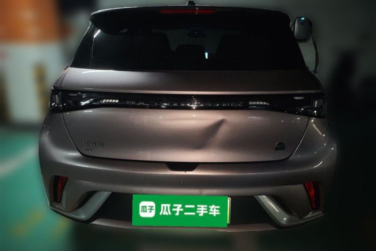 Used BYD Dolphin 2021 405 km Fashion Edition Rear