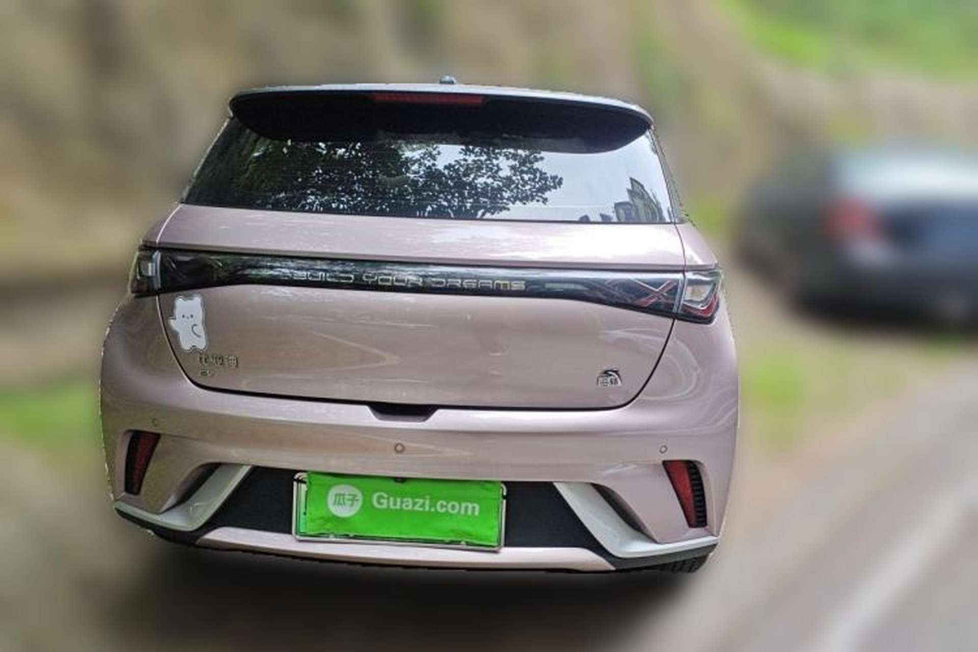 Used BYD Dolphin 2021 405 km Fashion Edition Rear