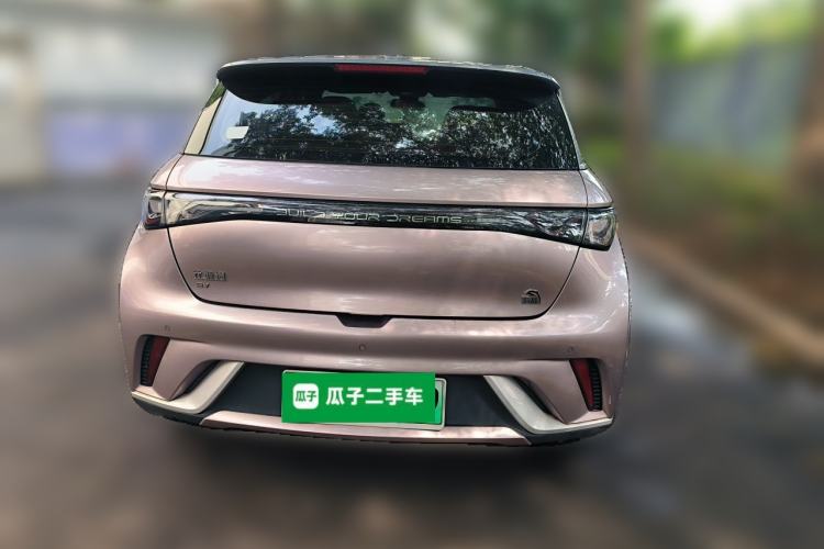 Used BYD Dolphin 2021 405 km Fashion Edition Rear