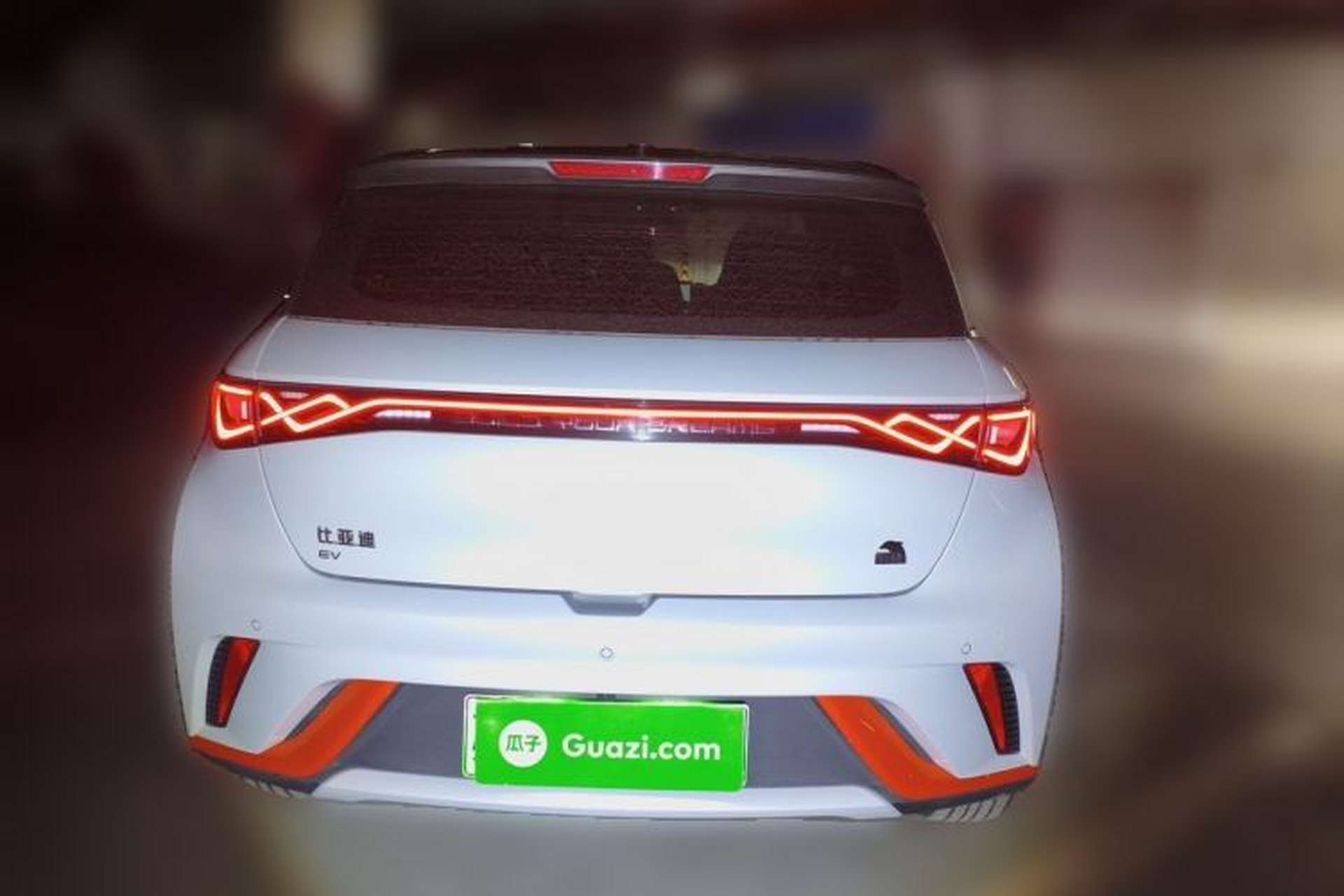 Used BYD Dolphin 2021 405 km Fashion Edition Rear