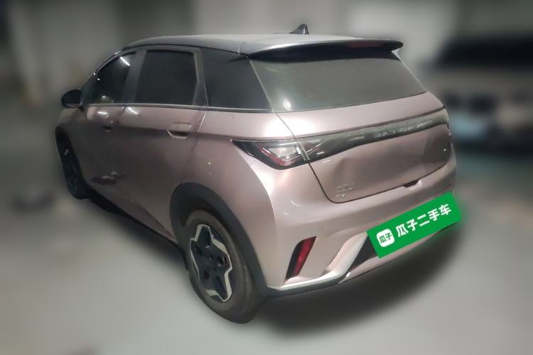 Used BYD Dolphin 2021 405 km Fashion Edition Rear Left 45 Deg