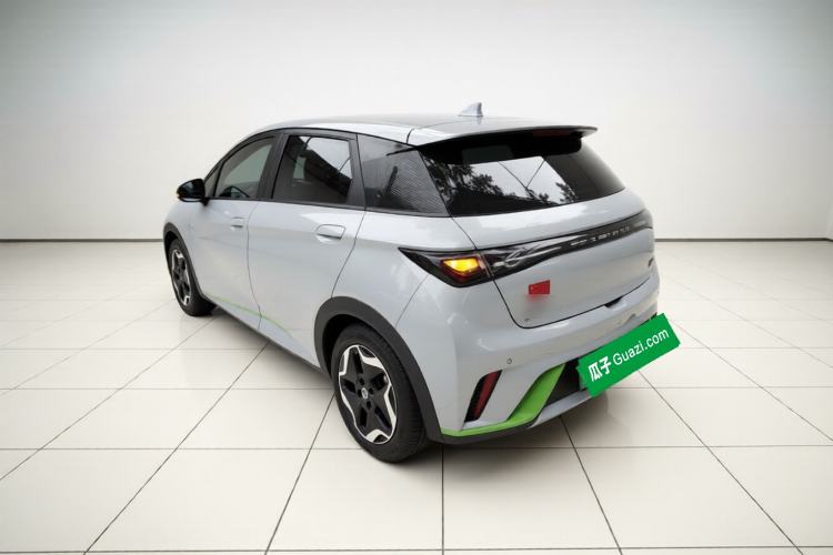 Used BYD Dolphin 2021 405 km Fashion Edition Rear Left 45 Deg