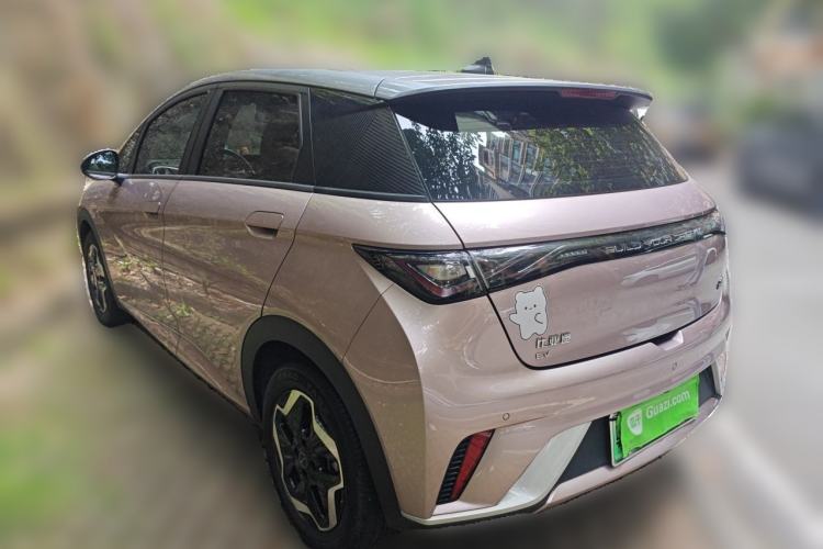 Used BYD Dolphin 2021 405 km Fashion Edition Rear Left 45 Deg