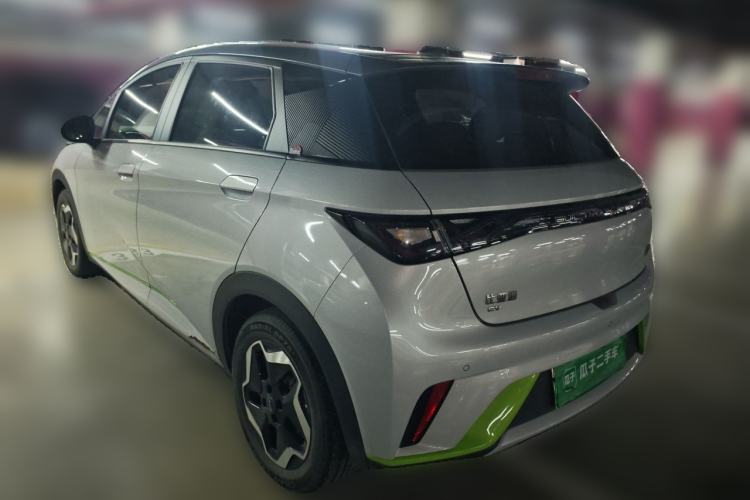 Used BYD Dolphin 2021 405 km Free Version Rear Left 45 Deg