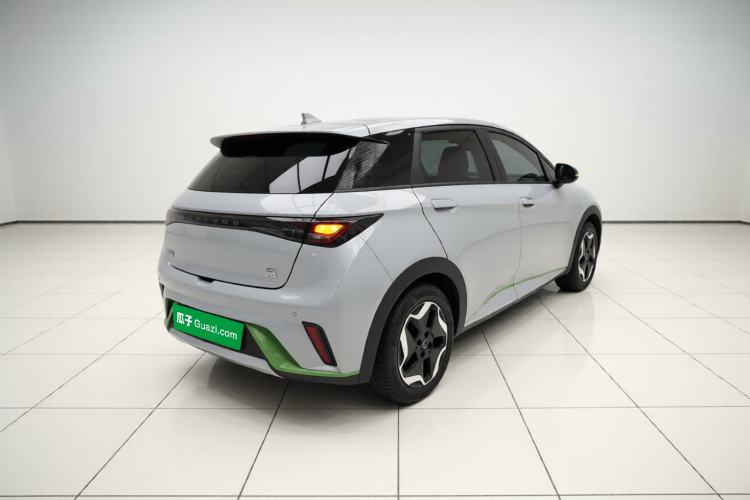 Used BYD Dolphin 2021 405 km Fashion Edition Rear Right 45 Deg