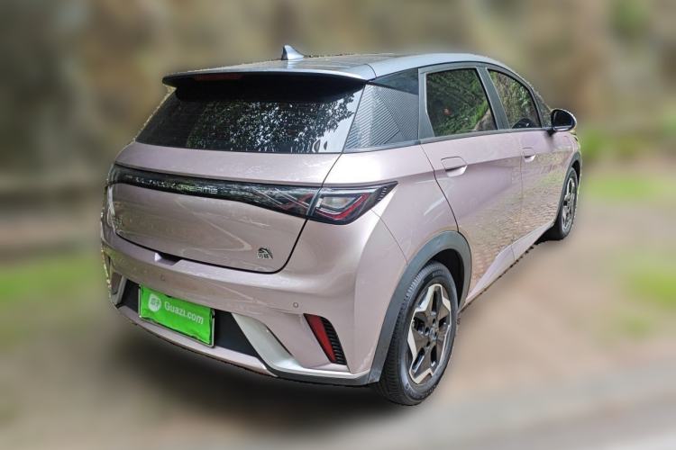 Used BYD Dolphin 2021 405 km Fashion Edition Rear Right 45 Deg