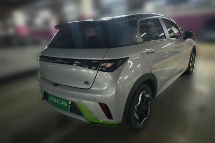 Used BYD Dolphin 2021 405 km Free Version Rear Right 45 Deg