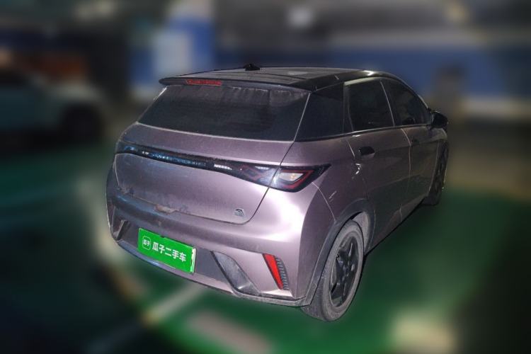 Used BYD Dolphin 2021 405 km Fashion Edition Rear Right 45 Deg