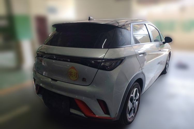 Used BYD Dolphin 2021 405 km Free Version Rear Right 45 Deg