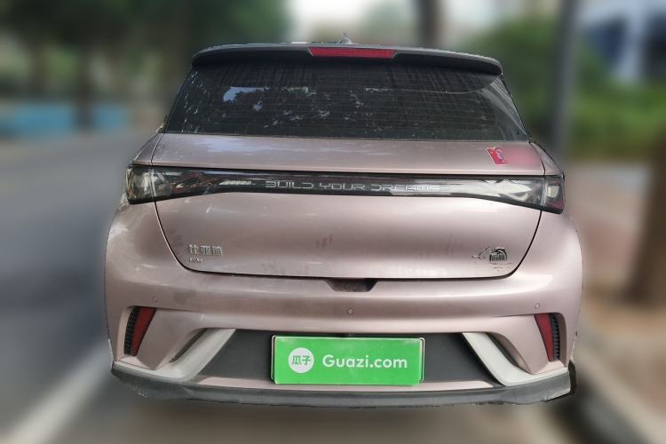 Used BYD Dolphin 2021 401km Knight Edition Rear