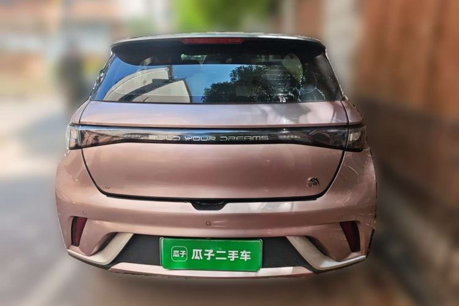 Used BYD Dolphin 2021 405 km Fashion Edition Rear