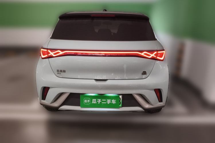 Used BYD Dolphin 2021 405 km Fashion Edition Rear