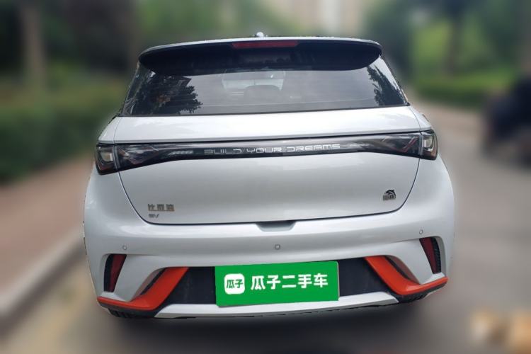 Used BYD Dolphin 2021 405 km Free Version Rear