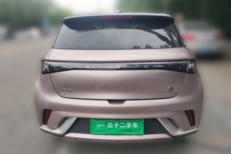 Used BYD Dolphin 2021 405 km Fashion Edition Rear