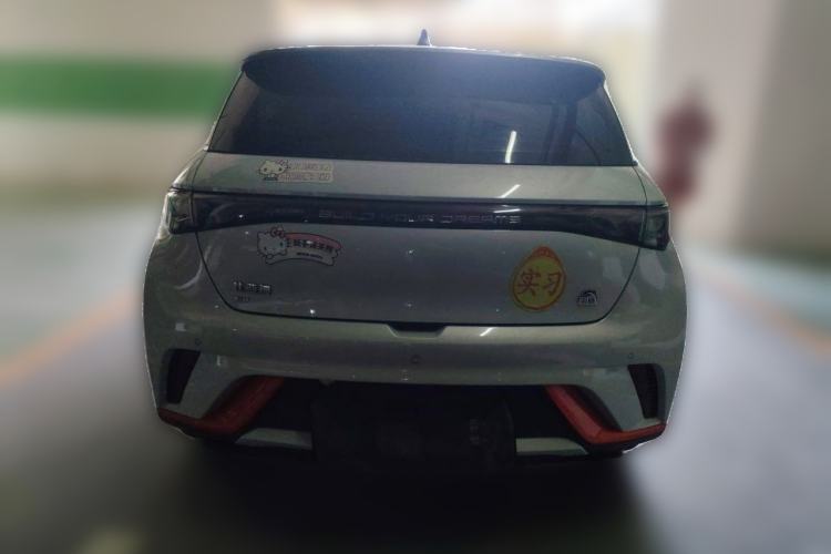 Used BYD Dolphin 2021 405 km Free Version Rear