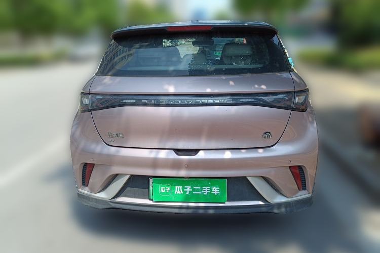 Used BYD Dolphin 2021 401km Knight Edition Rear