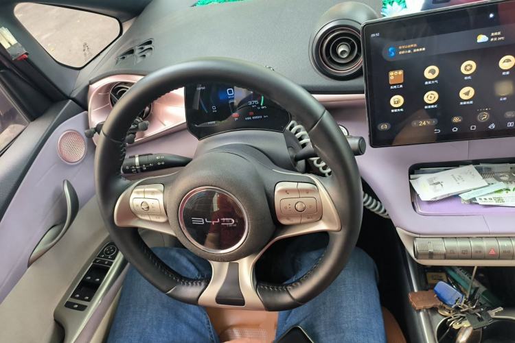 Used BYD Dolphin 2021 405 km Fashion Edition Steering Wheel