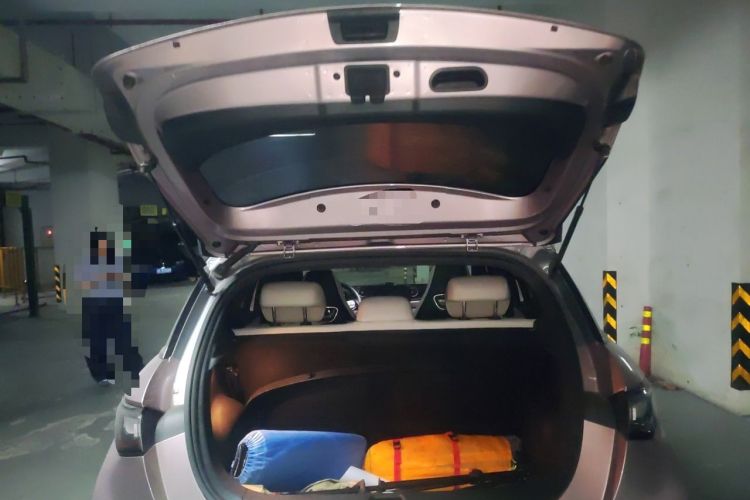 Used BYD Dolphin 2021 405 km Fashion Edition Trunk