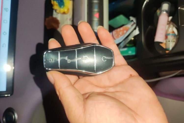 Used BYD Dolphin 2021 405 km Fashion Edition Vehicle Key