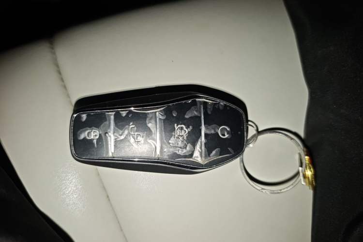 Used BYD Dolphin 2021 405 km Fashion Edition Vehicle Key