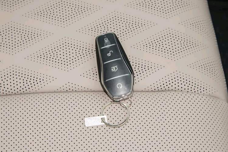 Used BYD Dolphin 2021 405 km Fashion Edition Vehicle Key