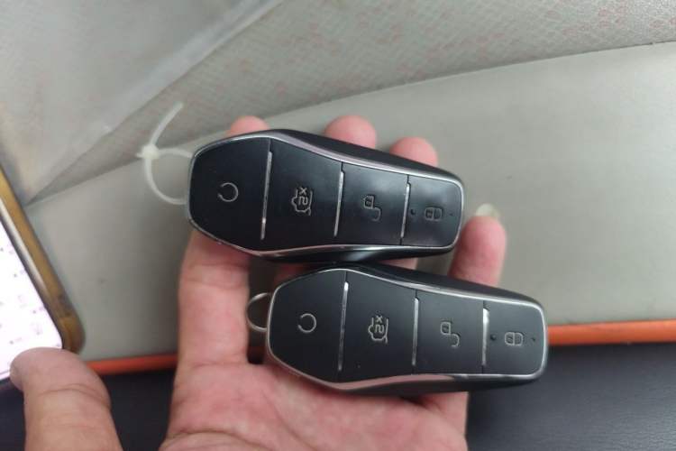 Used BYD Dolphin 2021 405 km Free Version Vehicle Key
