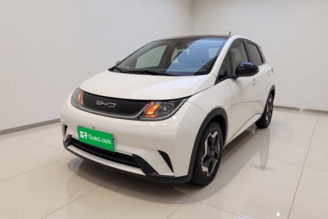 BYD Dolphin 2021 405 km Free Version de segunda mano