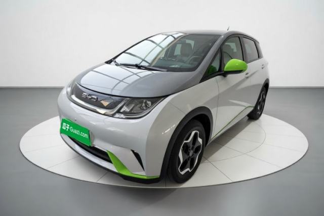 Used BYD Dolphin 2021 405 km Free Version