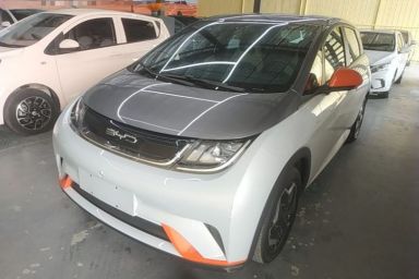 Used BYD Dolphin 2021 405 km Free Version