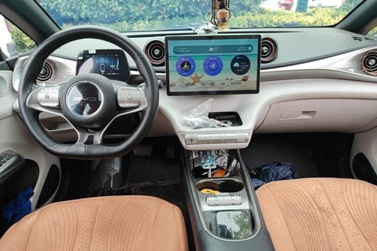 Used BYD Dolphin 2021 405 km Fashion Edition Audio And AC Panel