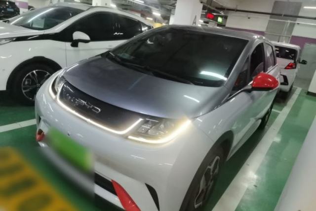 BYD Dolphin 2021 405 km Free Version de segunda mano