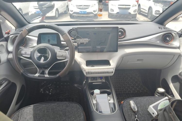 Used BYD Dolphin 2021 405 km Fashion Edition Center Console