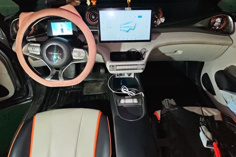 Used BYD Dolphin 2021 405 km Free Version Center Console