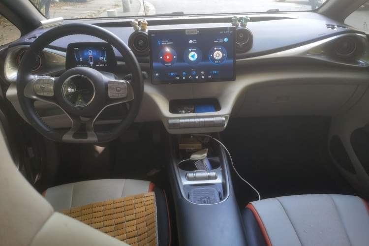 Used BYD Dolphin 2021 405 km Fashion Edition Center Console