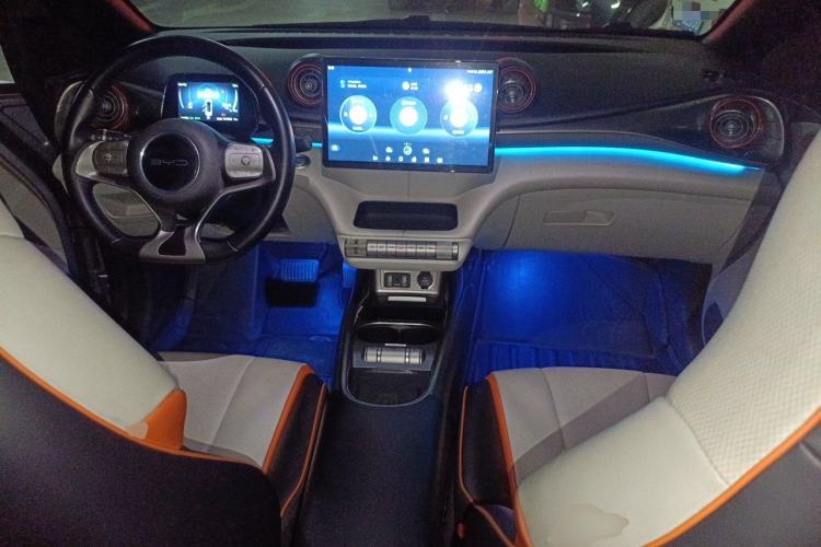 Used BYD Dolphin 2021 405 km Fashion Edition Center Console