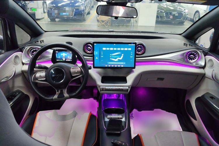 Used BYD Dolphin 2021 405 km Fashion Edition Center Console