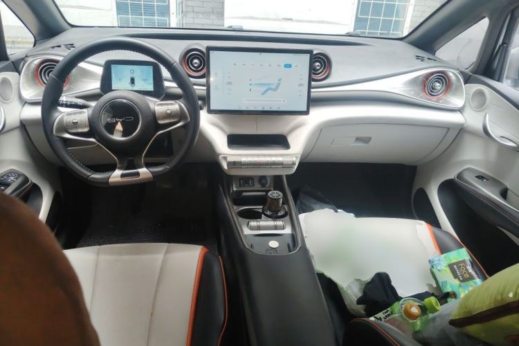 Used BYD Dolphin 2021 405 km Fashion Edition Center Console