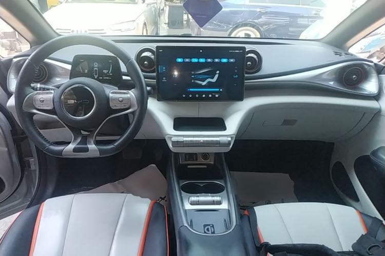 Used BYD Dolphin 2021 405 km Fashion Edition Center Console