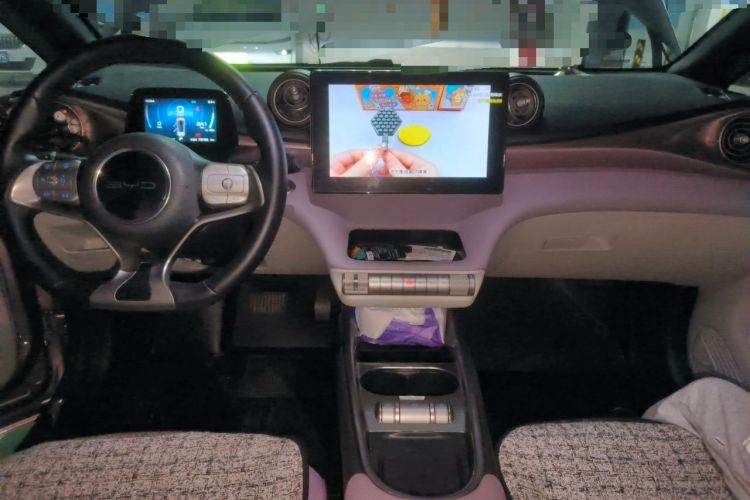 Used BYD Dolphin 2021 405 km Fashion Edition Center Console