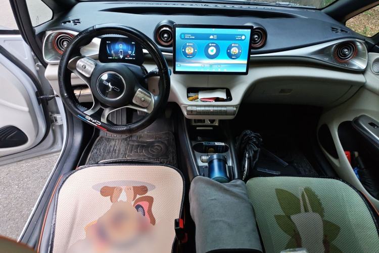 Used BYD Dolphin 2021 405 km Fashion Edition Center Console