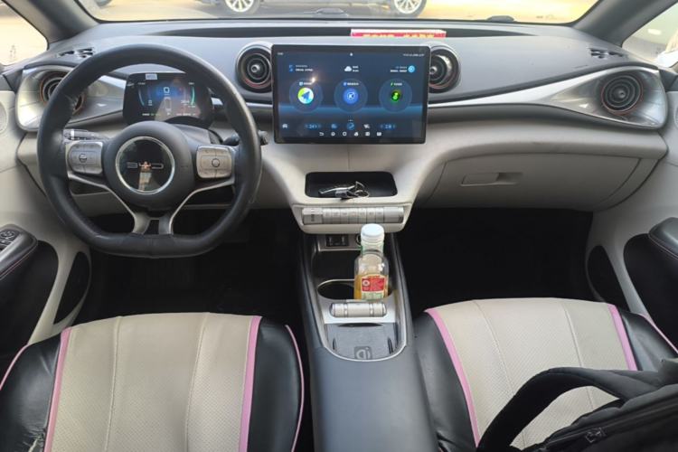 Used BYD Dolphin 2021 405 km Fashion Edition Center Console