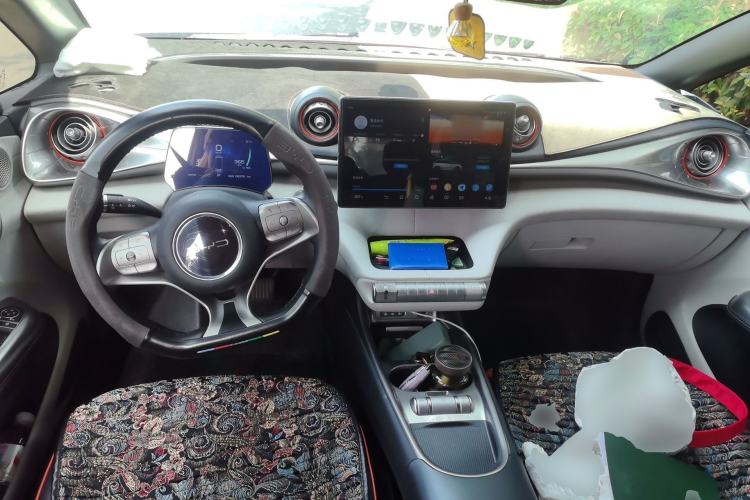 Used BYD Dolphin 2021 405 km Free Version Center Console