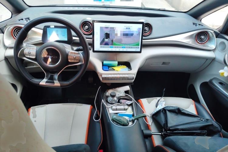 Used BYD Dolphin 2021 405 km Fashion Edition Center Console