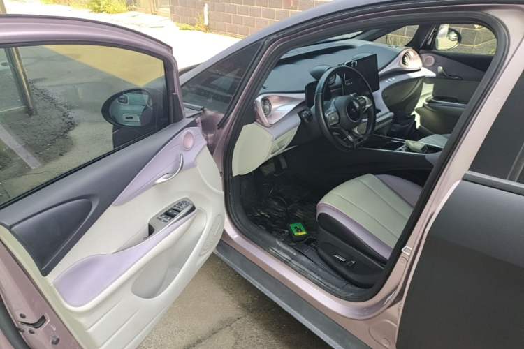 Used BYD Dolphin 2021 405 km Fashion Edition Driver Seat